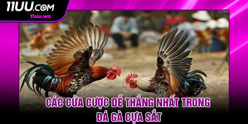 Các cửa cược dễ thắng nhất trong đá gà cựa sắt