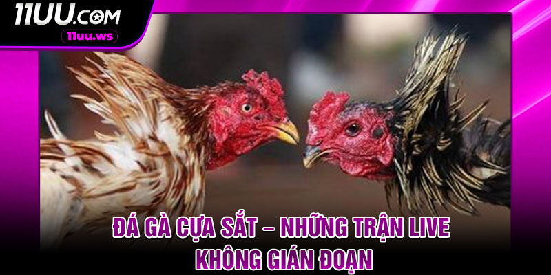Da Ga Cua Sat – Nhung Tran Live Khong Gian Doan