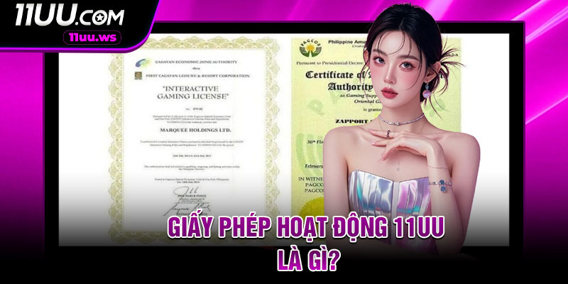 Giấy Phép Hoạt Động 11UU Là Gì?