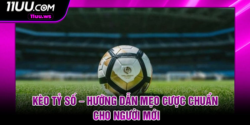 Keo Ty So – Huong Dan Meo Cuoc Chuan Cho Nguoi Moi
