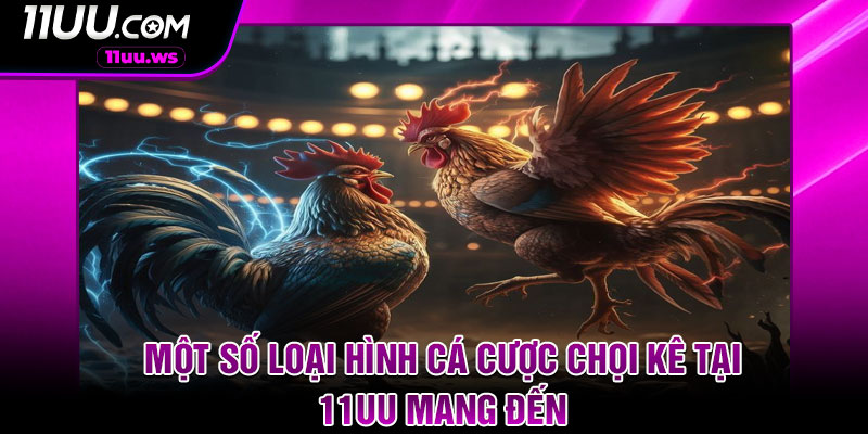 Một số loại hình cá cược chọi kê tại 11UU mang đến 