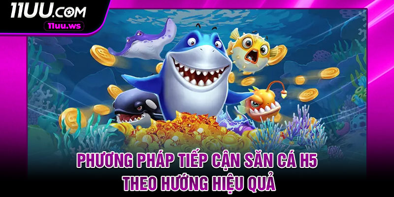 Phương pháp tiếp cận săn cá H5 theo hướng hiệu quả