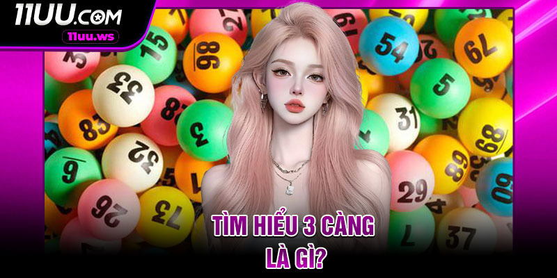 Tìm hiểu 3 càng là gì?